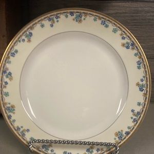 Beautiful Haviland Limoges dinner plates